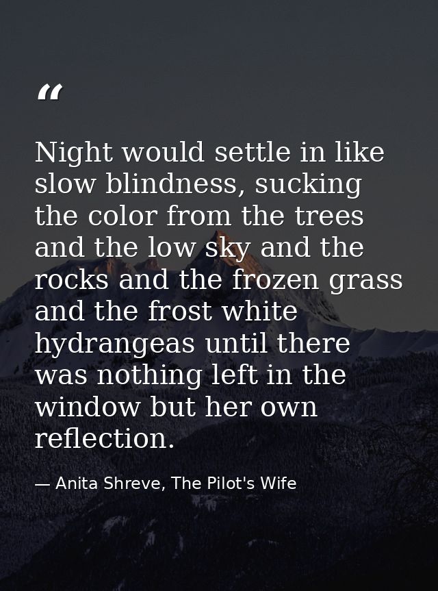 Night would settle in like slow blindness, sucking the color from the trees and the low sky and the rocks and the frozen — Anita Shreve, The Pilot's Wife