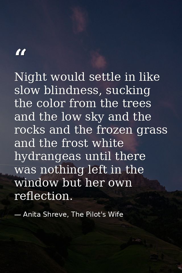 Night would settle in like slow blindness, sucking the color from the trees and the low sky and the rocks and the frozen — Anita Shreve, The Pilot's Wife