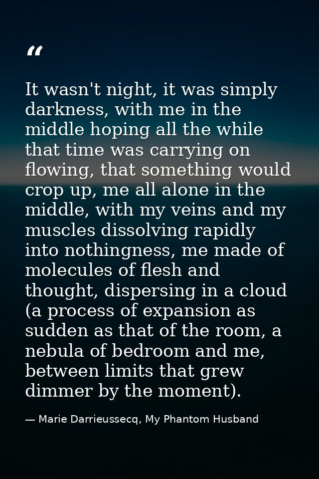 It wasn't night, it was simply darkness, with me in the middle hoping all the while that time was carrying on flowing, t — Marie Darrieussecq, My Phantom Husband