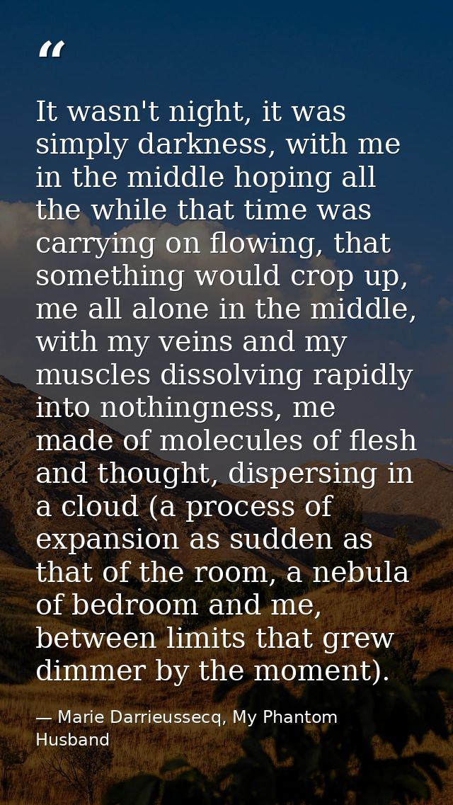 It wasn't night, it was simply darkness, with me in the middle hoping all the while that time was carrying on flowing, t — Marie Darrieussecq, My Phantom Husband
