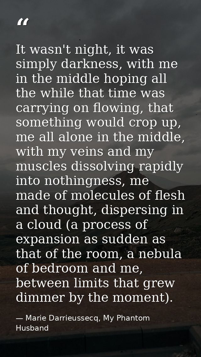 It wasn't night, it was simply darkness, with me in the middle hoping all the while that time was carrying on flowing, t — Marie Darrieussecq, My Phantom Husband