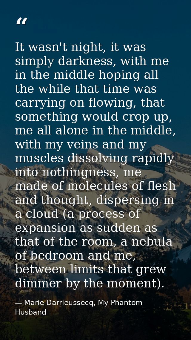 It wasn't night, it was simply darkness, with me in the middle hoping all the while that time was carrying on flowing, t — Marie Darrieussecq, My Phantom Husband