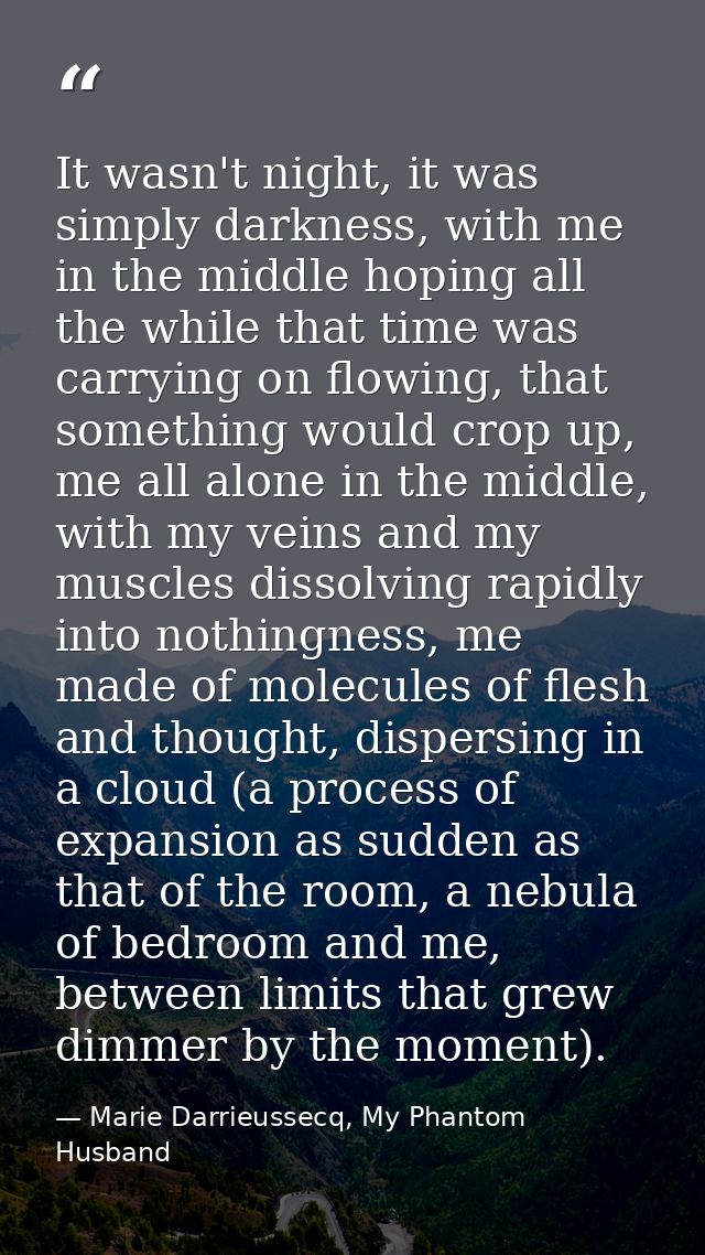 It wasn't night, it was simply darkness, with me in the middle hoping all the while that time was carrying on flowing, t — Marie Darrieussecq, My Phantom Husband