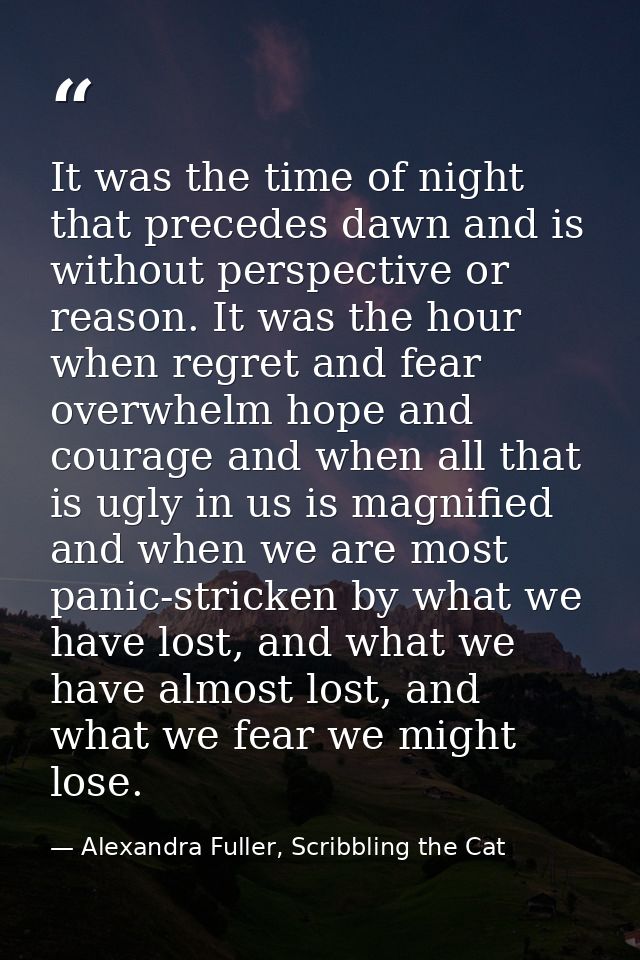 It was the time of night that precedes dawn and is without perspective or reason. It was the hour when regret and fear o — Alexandra Fuller, Scribbling the Cat