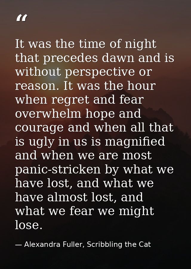 It was the time of night that precedes dawn and is without perspective or reason. It was the hour when regret and fear o — Alexandra Fuller, Scribbling the Cat