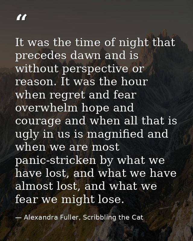 It was the time of night that precedes dawn and is without perspective or reason. It was the hour when regret and fear o — Alexandra Fuller, Scribbling the Cat
