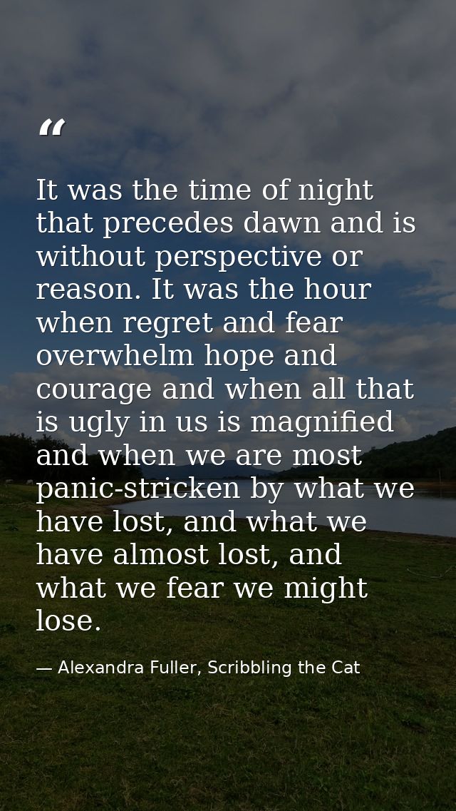 It was the time of night that precedes dawn and is without perspective or reason. It was the hour when regret and fear o — Alexandra Fuller, Scribbling the Cat