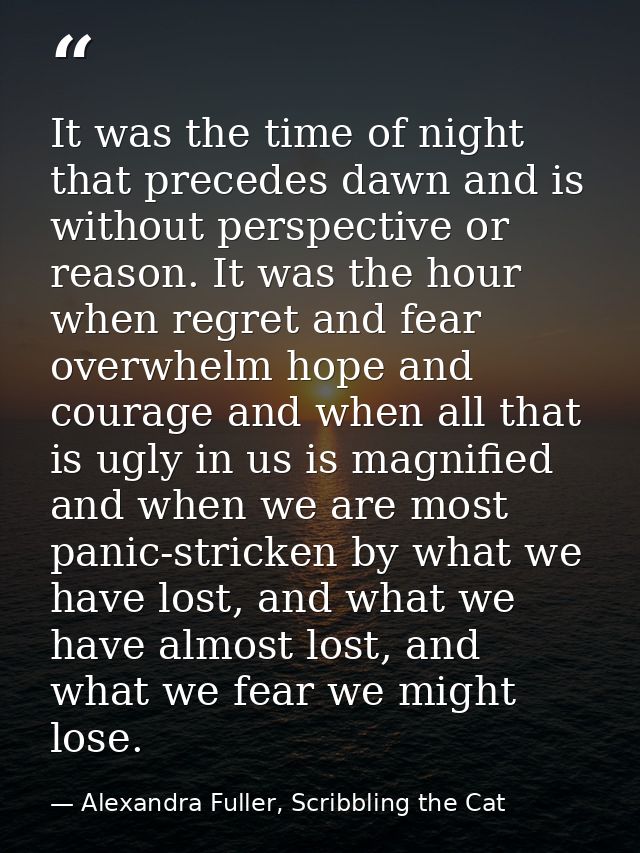 It was the time of night that precedes dawn and is without perspective or reason. It was the hour when regret and fear o — Alexandra Fuller, Scribbling the Cat