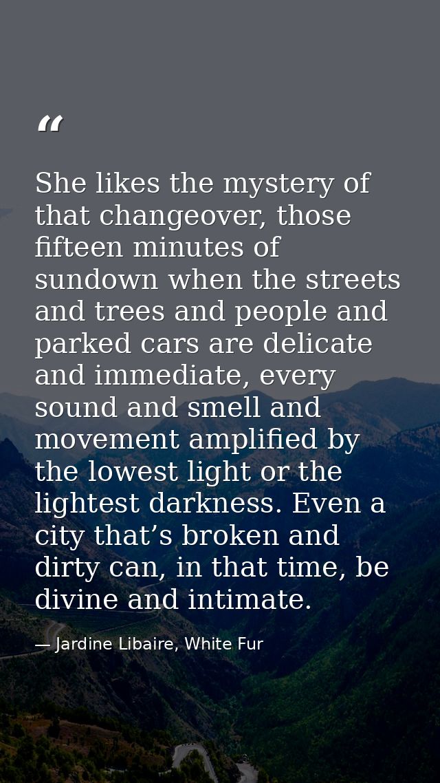 She likes the mystery of that changeover, those fifteen minutes of sundown when the streets and trees and people and par — Jardine Libaire, White Fur