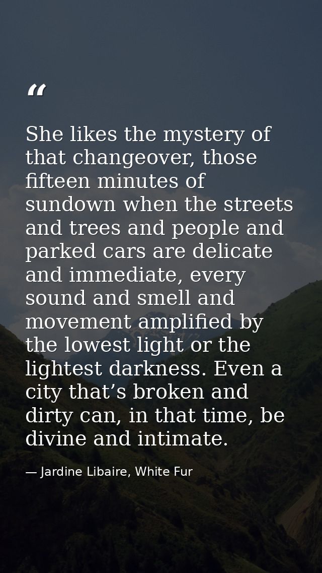She likes the mystery of that changeover, those fifteen minutes of sundown when the streets and trees and people and par — Jardine Libaire, White Fur