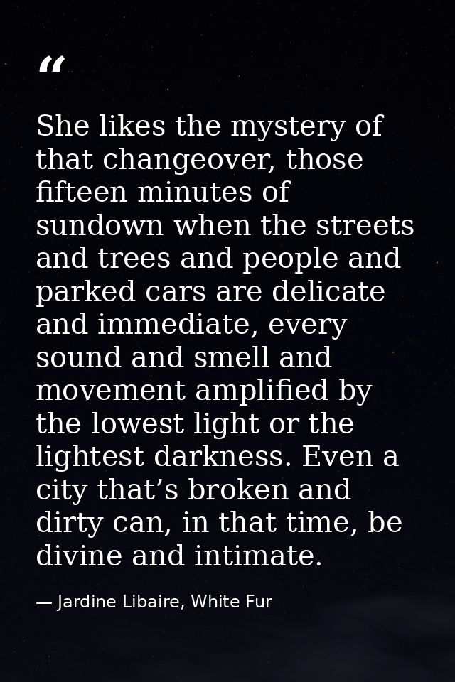 She likes the mystery of that changeover, those fifteen minutes of sundown when the streets and trees and people and par — Jardine Libaire, White Fur