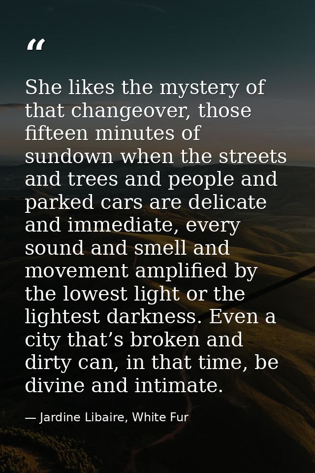 She likes the mystery of that changeover, those fifteen minutes of sundown when the streets and trees and people and par — Jardine Libaire, White Fur