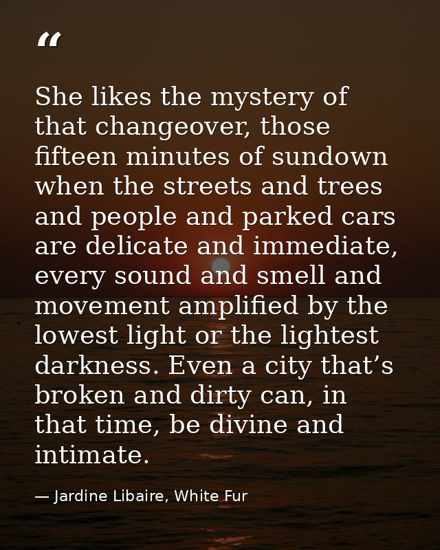 She likes the mystery of that changeover, those fifteen minutes of sundown when the streets and trees and people and par — Jardine Libaire, White Fur