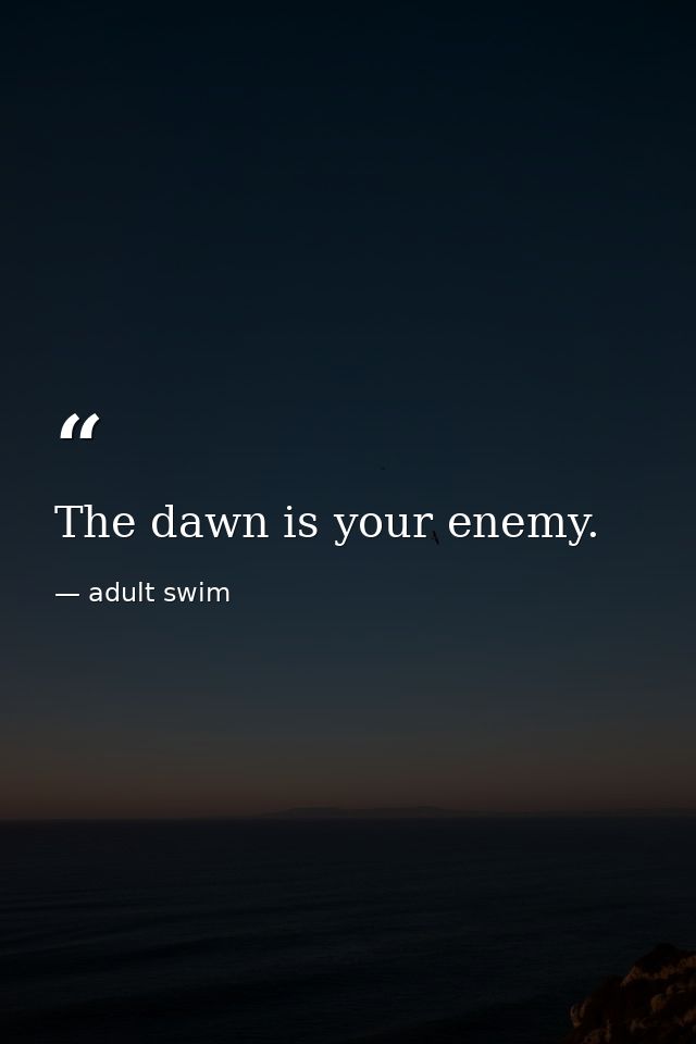 The dawn is your enemy. — adult swim