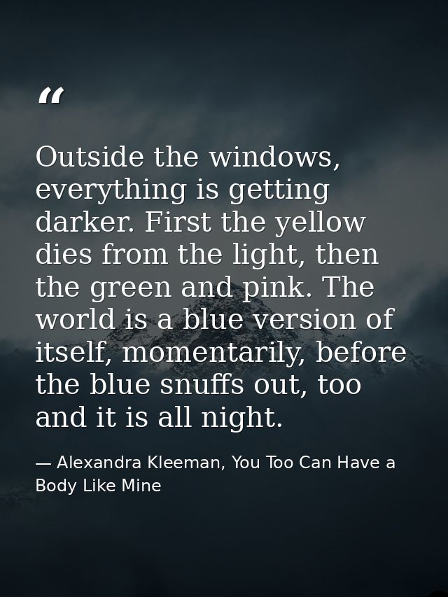 Outside the windows, everything is getting darker. First the yellow dies from the light, then the green and pink. The wo — Alexandra Kleeman, You Too Can Have a Body Like Mine