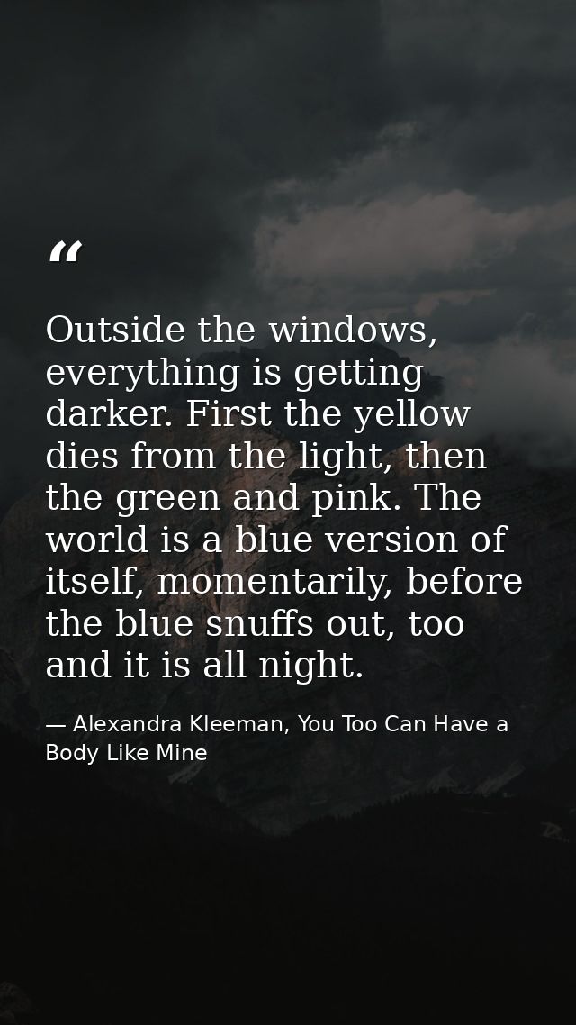 Outside the windows, everything is getting darker. First the yellow dies from the light, then the green and pink. The wo — Alexandra Kleeman, You Too Can Have a Body Like Mine