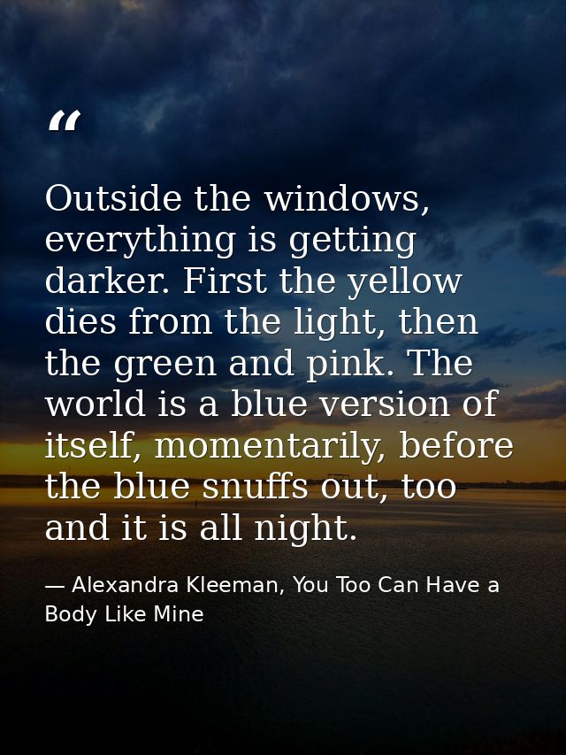 Outside the windows, everything is getting darker. First the yellow dies from the light, then the green and pink. The wo — Alexandra Kleeman, You Too Can Have a Body Like Mine