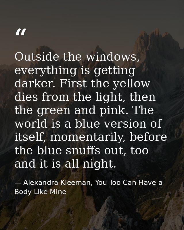 Outside the windows, everything is getting darker. First the yellow dies from the light, then the green and pink. The wo — Alexandra Kleeman, You Too Can Have a Body Like Mine