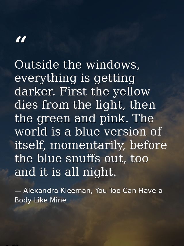 Outside the windows, everything is getting darker. First the yellow dies from the light, then the green and pink. The wo — Alexandra Kleeman, You Too Can Have a Body Like Mine