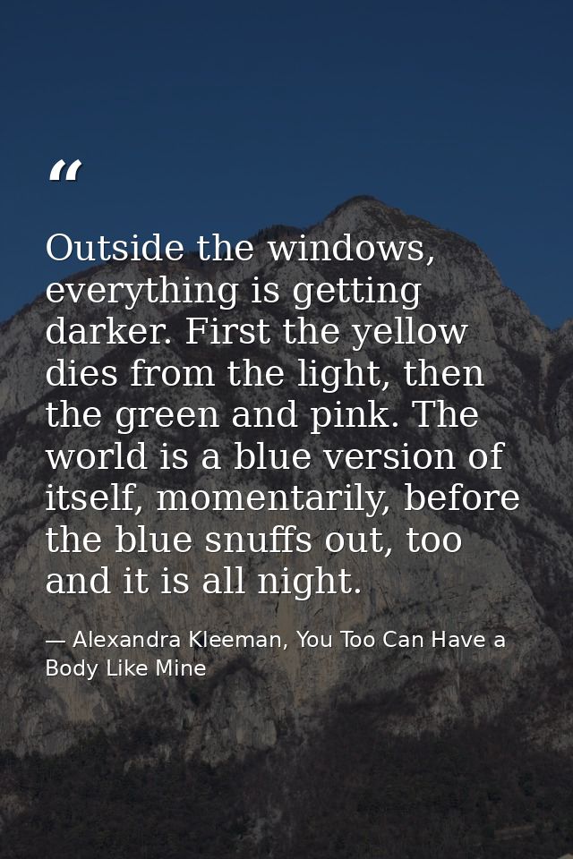 Outside the windows, everything is getting darker. First the yellow dies from the light, then the green and pink. The wo — Alexandra Kleeman, You Too Can Have a Body Like Mine