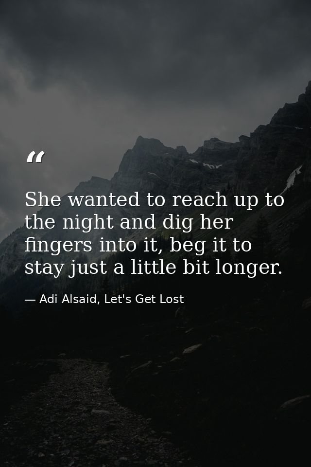 She wanted to reach up to the night and dig her fingers into it, beg it to stay just a little bit longer. — Adi Alsaid, Let's Get Lost