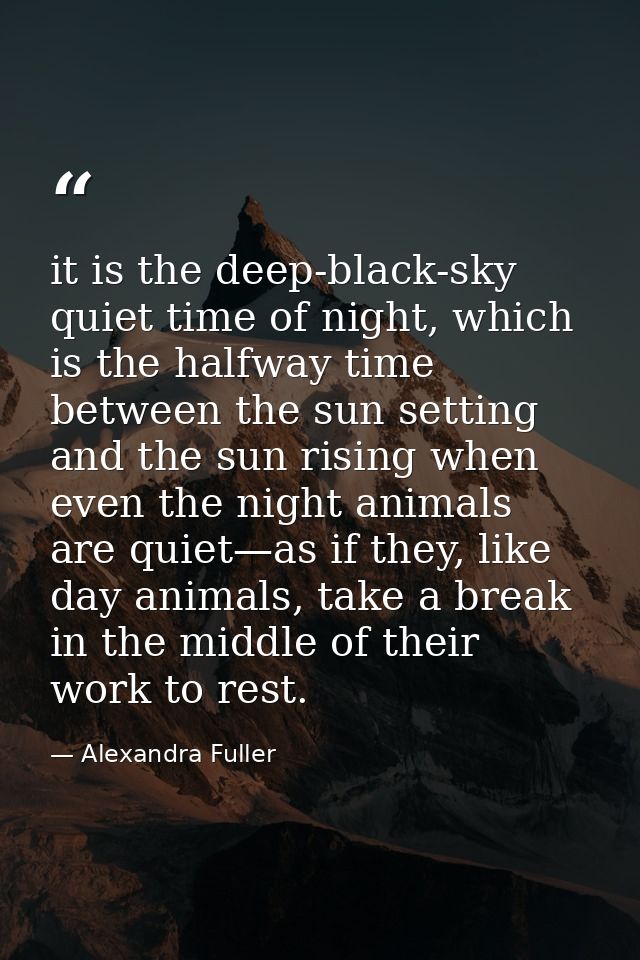 it is the deep-black-sky quiet time of night, which is the halfway time between the sun setting and the sun rising when  — Alexandra Fuller