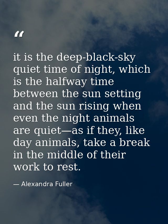 it is the deep-black-sky quiet time of night, which is the halfway time between the sun setting and the sun rising when  — Alexandra Fuller