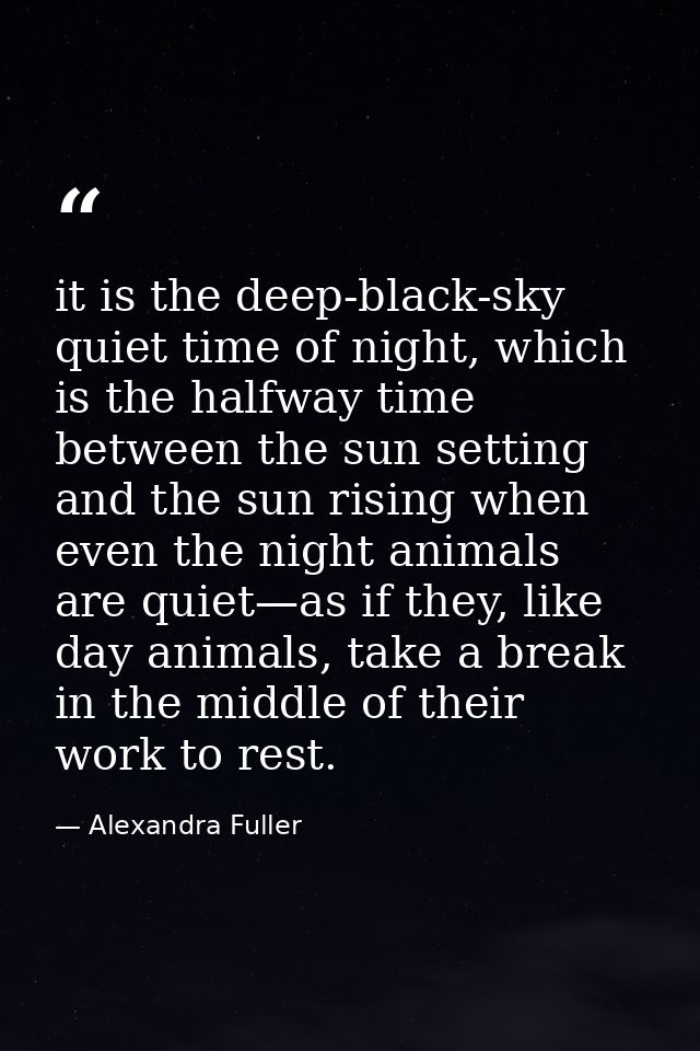 it is the deep-black-sky quiet time of night, which is the halfway time between the sun setting and the sun rising when  — Alexandra Fuller