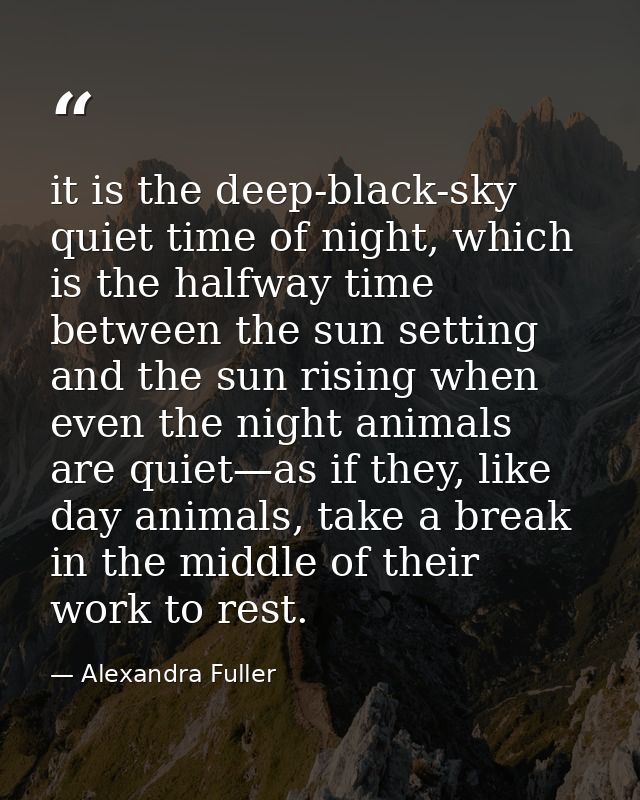it is the deep-black-sky quiet time of night, which is the halfway time between the sun setting and the sun rising when  — Alexandra Fuller