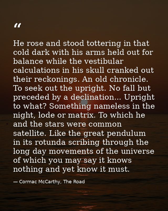 He rose and stood tottering in that cold dark with his arms held out for balance while the vestibular calculations in hi — Cormac McCarthy, The Road