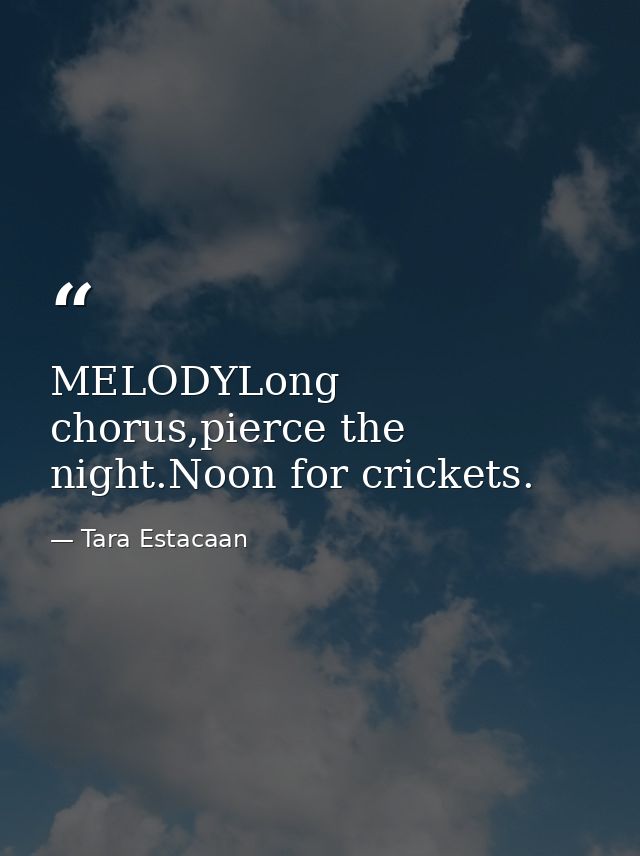 MELODYLong chorus,pierce the night.Noon for crickets. — Tara Estacaan