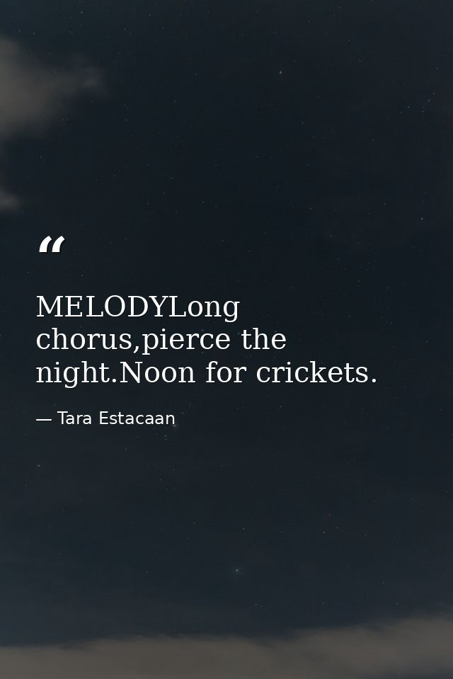 MELODYLong chorus,pierce the night.Noon for crickets. — Tara Estacaan