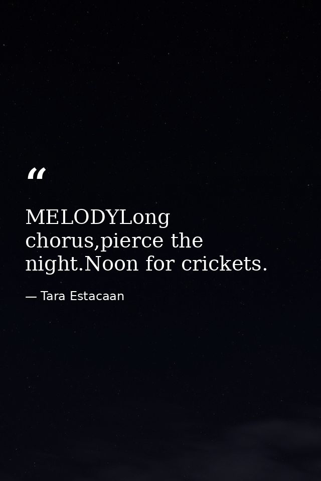 MELODYLong chorus,pierce the night.Noon for crickets. — Tara Estacaan