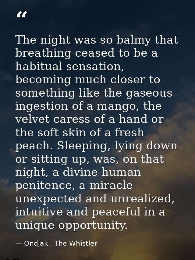 The night was so balmy that breathing ceased to be a habitual sensation, becoming much closer to something like the gase — Ondjaki, The Whistler