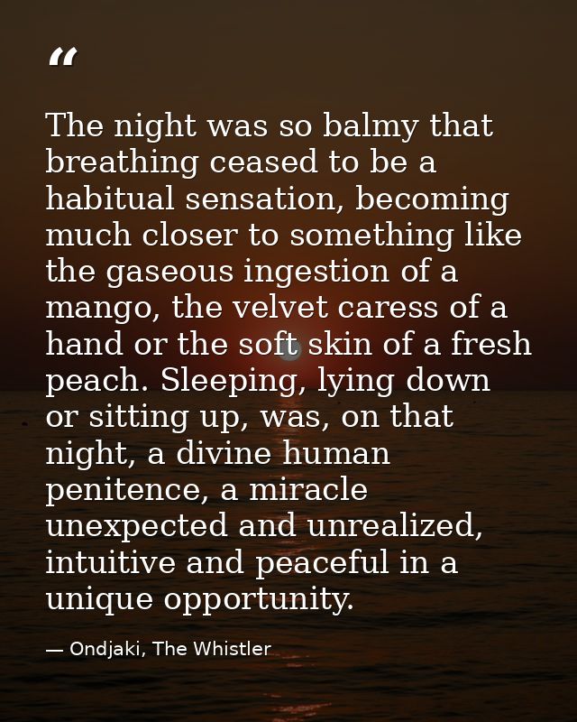 The night was so balmy that breathing ceased to be a habitual sensation, becoming much closer to something like the gase — Ondjaki, The Whistler