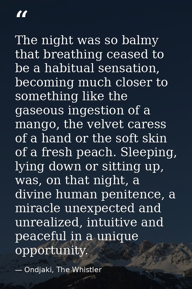 The night was so balmy that breathing ceased to be a habitual sensation, becoming much closer to something like the gase — Ondjaki, The Whistler