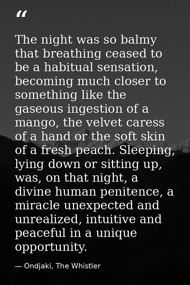 The night was so balmy that breathing ceased to be a habitual sensation, becoming much closer to something like the gase — Ondjaki, The Whistler