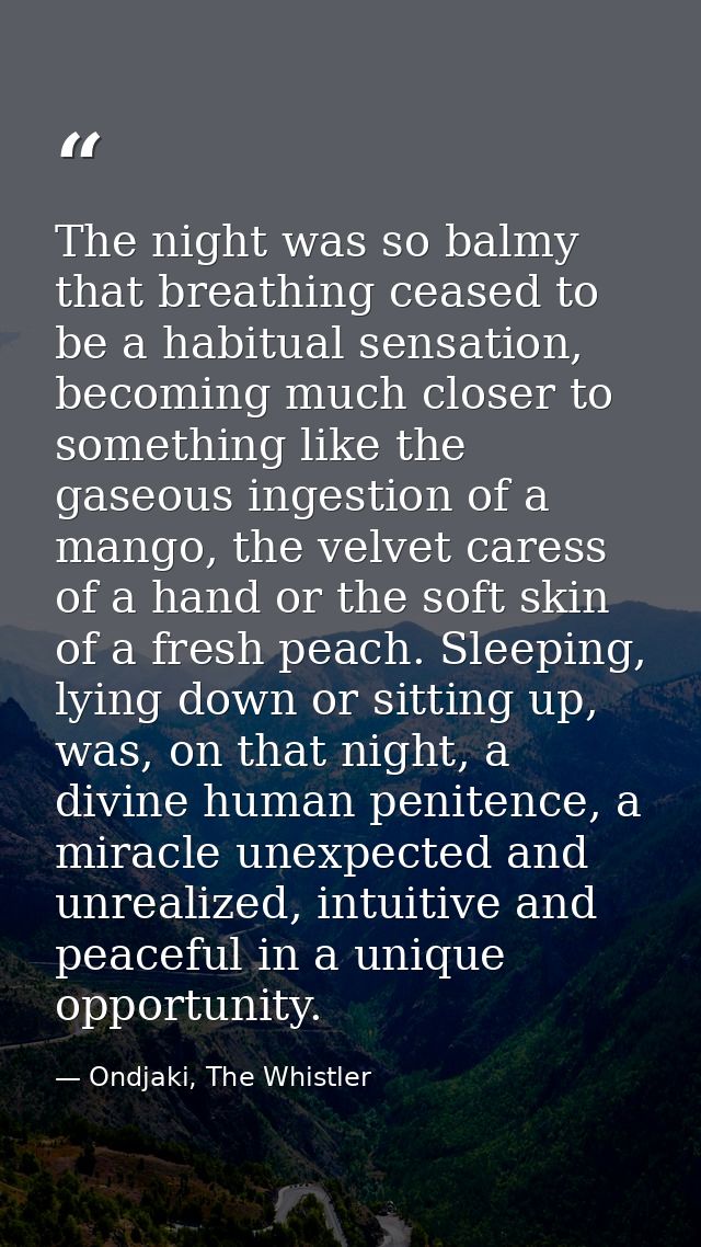 The night was so balmy that breathing ceased to be a habitual sensation, becoming much closer to something like the gase — Ondjaki, The Whistler