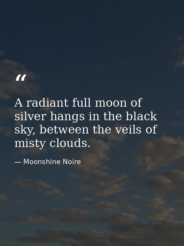 A radiant full moon of silver hangs in the black sky, between the veils of misty clouds. — Moonshine Noire
