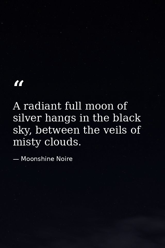 A radiant full moon of silver hangs in the black sky, between the veils of misty clouds. — Moonshine Noire