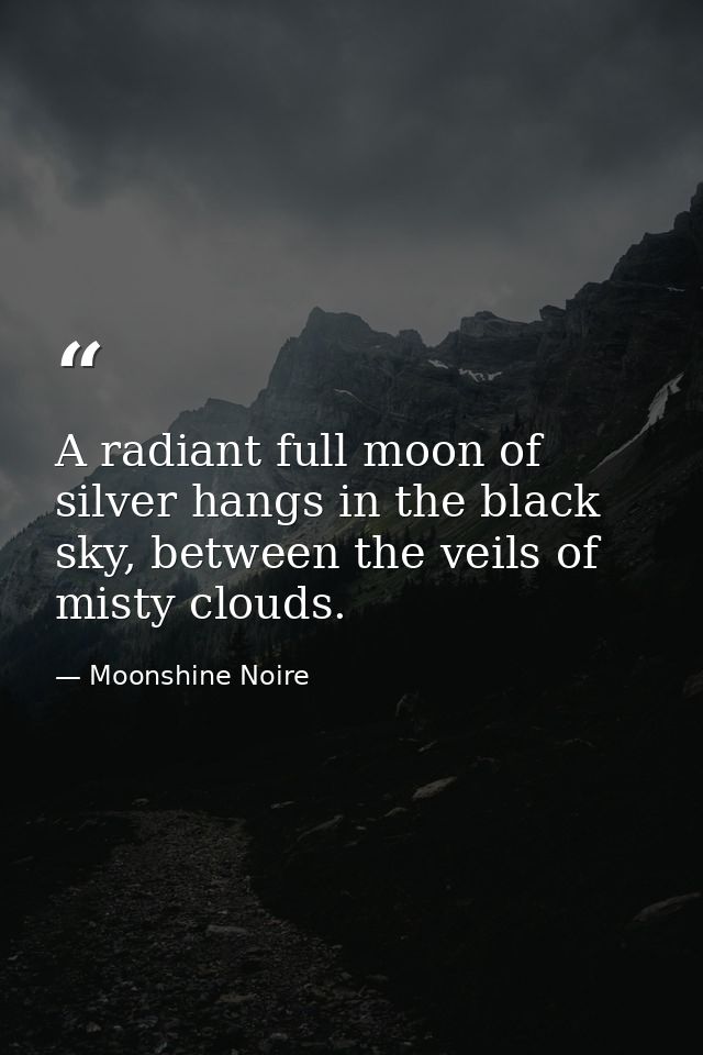 A radiant full moon of silver hangs in the black sky, between the veils of misty clouds. — Moonshine Noire