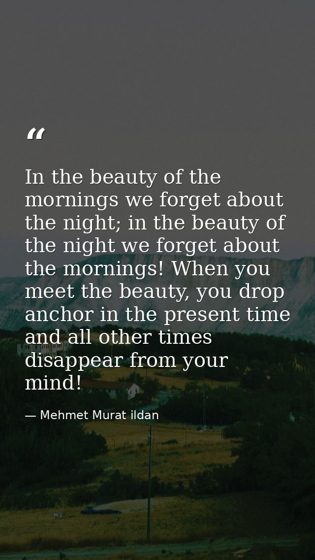 In the beauty of the mornings we forget about the night; in the beauty of the night we forget about the mornings! When y — Mehmet Murat ildan