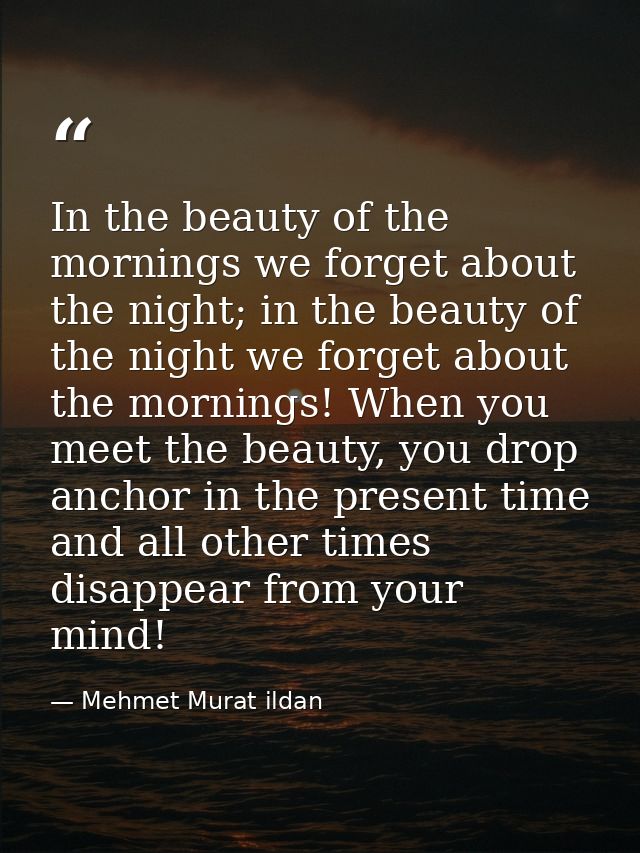 In the beauty of the mornings we forget about the night; in the beauty of the night we forget about the mornings! When y — Mehmet Murat ildan