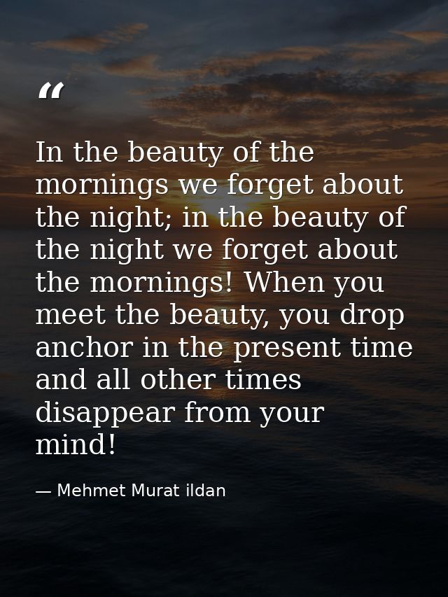 In the beauty of the mornings we forget about the night; in the beauty of the night we forget about the mornings! When y — Mehmet Murat ildan
