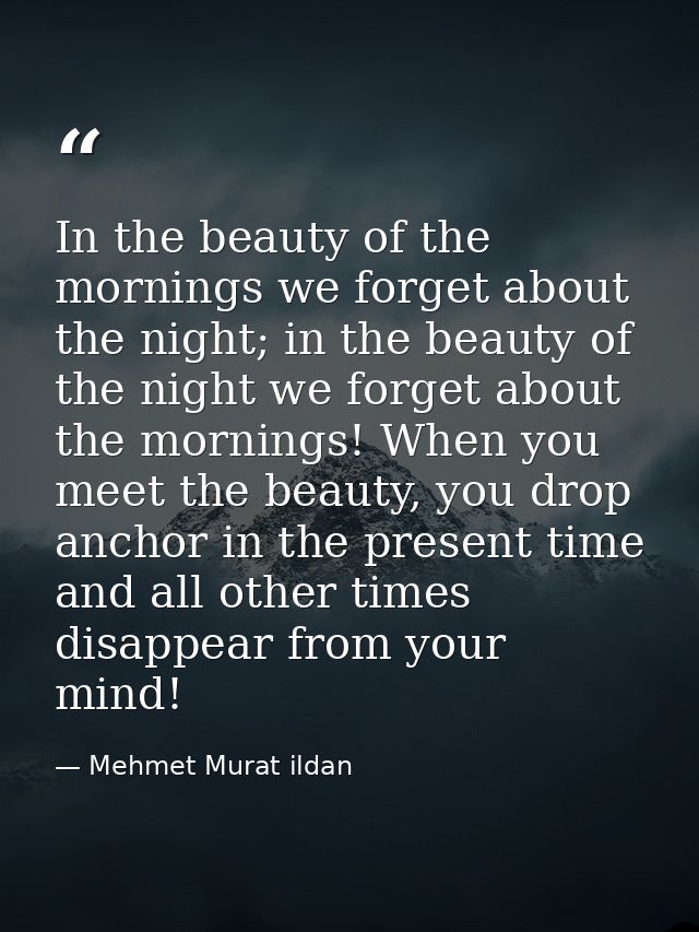 In the beauty of the mornings we forget about the night; in the beauty of the night we forget about the mornings! When y — Mehmet Murat ildan