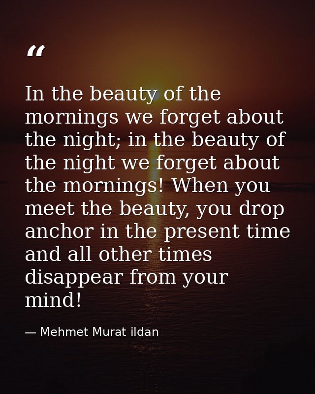 In the beauty of the mornings we forget about the night; in the beauty of the night we forget about the mornings! When y — Mehmet Murat ildan