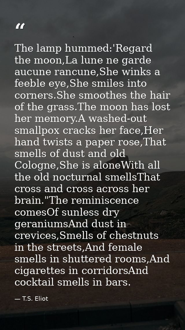 The lamp hummed:'Regard the moon,La lune ne garde aucune rancune,She winks a feeble eye,She smiles into corners.She smoo — T.S. Eliot