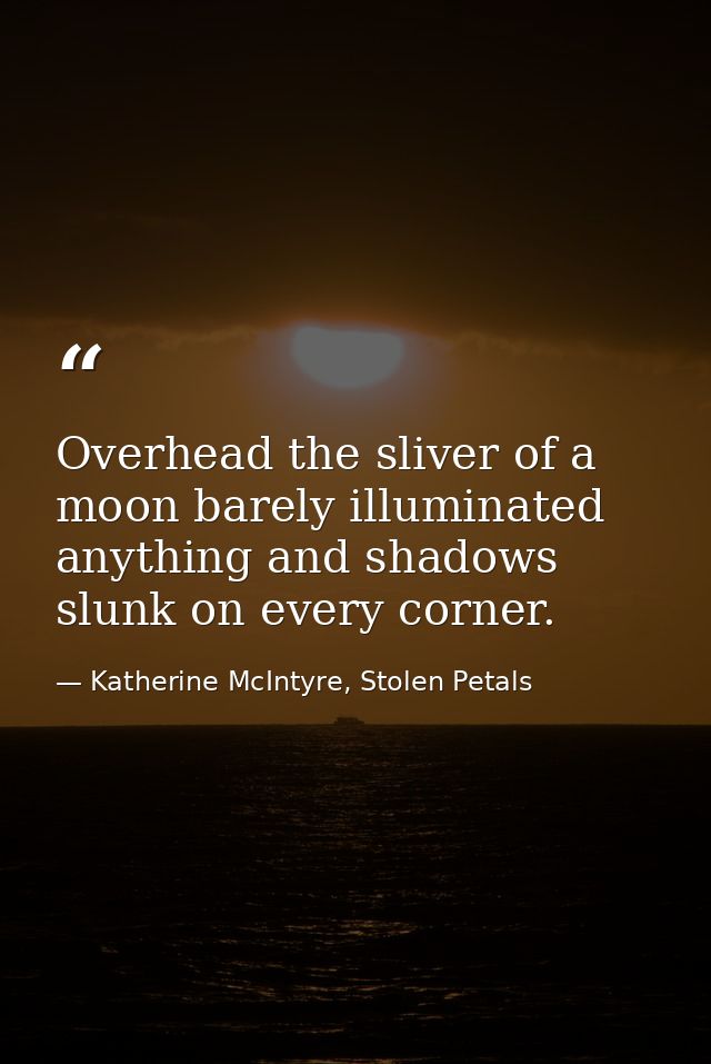 Overhead the sliver of a moon barely illuminated anything and shadows slunk on every corner. — Katherine McIntyre, Stolen Petals