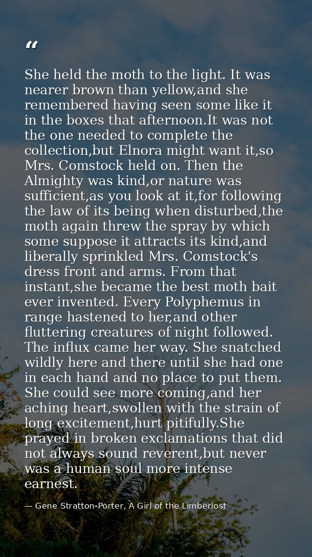 She held the moth to the light. It was nearer brown than yellow,and she remembered having seen some like it in the boxes — Gene Stratton-Porter, A Girl of the Limberlost