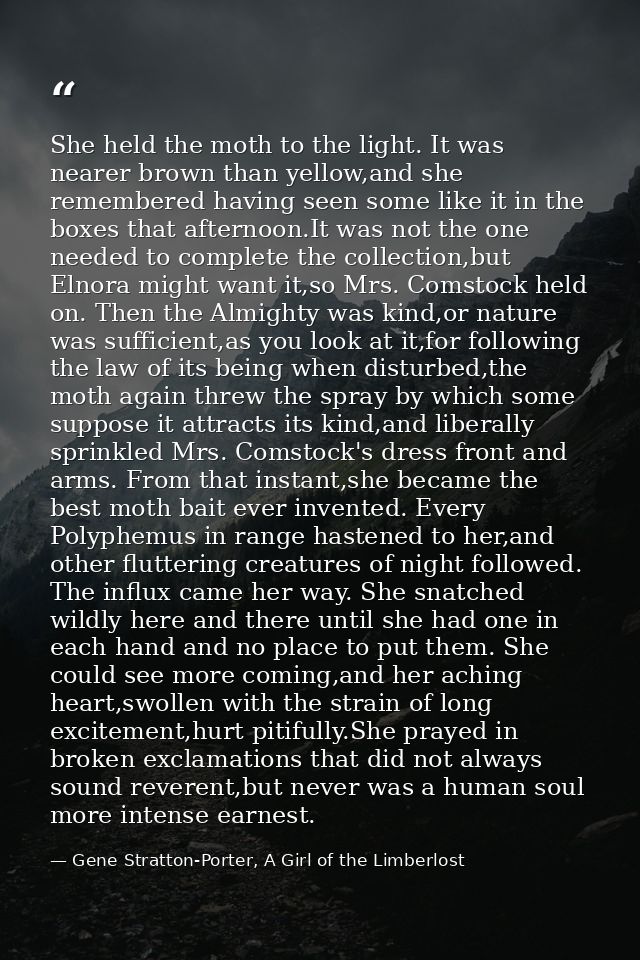 She held the moth to the light. It was nearer brown than yellow,and she remembered having seen some like it in the boxes — Gene Stratton-Porter, A Girl of the Limberlost